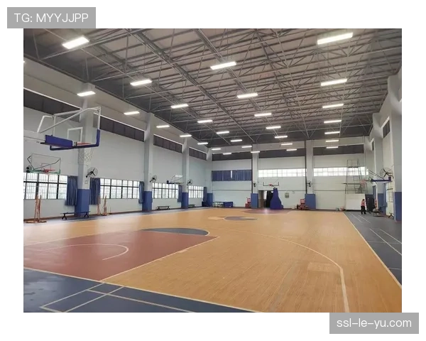 里昂新球场“灯光球场”主体结构封顶，预计2027-28赛季投入使用